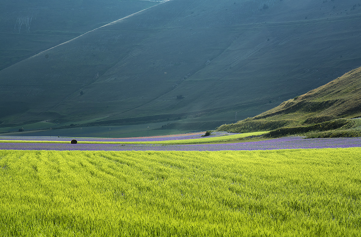 Castelluccio